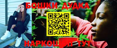 сатива Кунгур