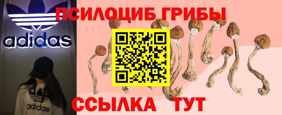 купить наркоту  Галлюциногенные грибы Psilocybe  Уварово  Вход с VPN  Псилоцибиновые грибы Cubensis 